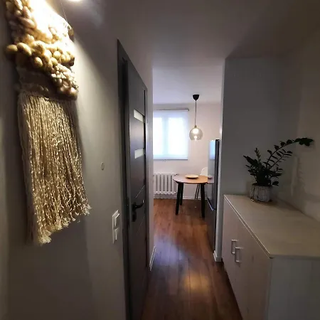 M37 X Fabryczna * リマノバ